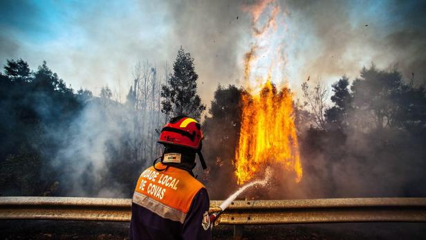 Ein Feuerwehrmann bekämpft einen Waldbrand mit einem Wasserstrahl.