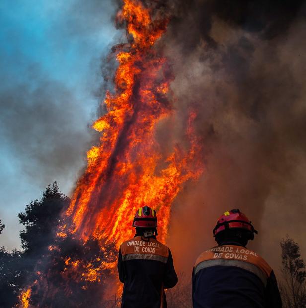 Zwei Feuerwehrleute beobachten einen Waldbrand.