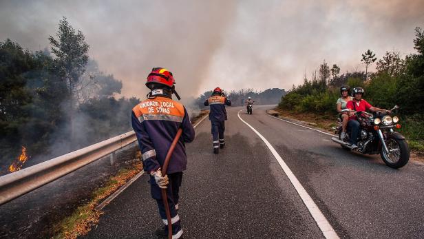 Feuerwehrleute arbeiten an einem Waldbrand, während ein Motorrad vorbeifährt.