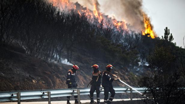 Drei Feuerwehrleute bekämpfen einen Waldbrand mit einem Wasserstrahl.