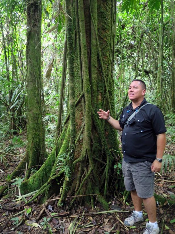Costa Rica: Ökotourismus als Vorbild für die ganze Welt