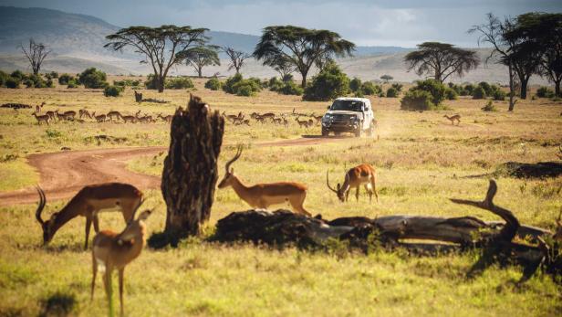 Land Rover Defender (2020): Erprobung in Afrika