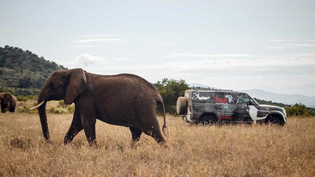 Land Rover Defender (2020): Erprobung in Afrika