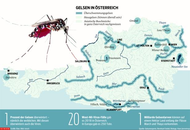 Hubschrauber-Einsatz gegen Gelsen-Plage