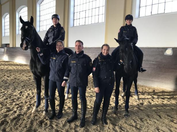 Startklar für Einsatz: Zwei neue Pferde aus Orbáns Reiterstaffel