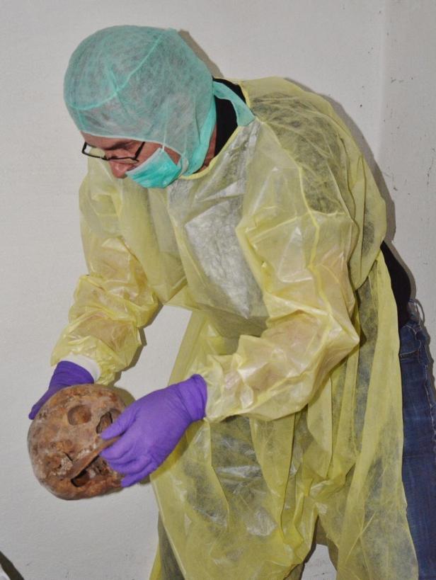 Mumien aus Waldhausen werden erforscht