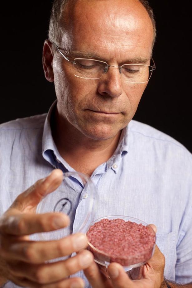 Laborfleisch: Für diesen Hamburger stirbt kein Rind