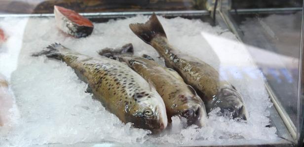 Ess-Tour: Ein neuer Markt mit Bison und Bio-Fisch