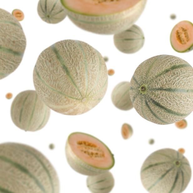 Warum Melonen abkühlen - und klug machen