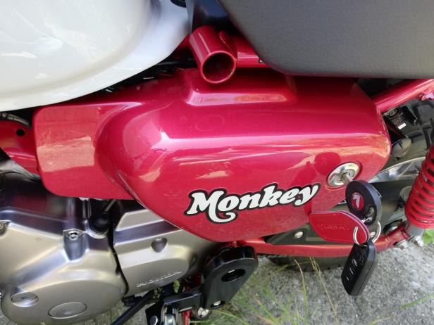 Die neue Honda Monkey im Test