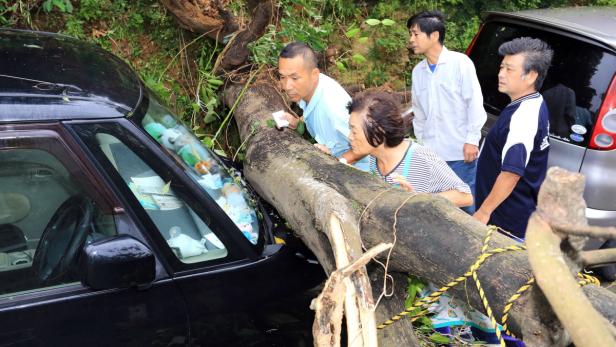Ein großer Baum ist auf ein schwarzes Auto gefallen, während vier Personen die Situation begutachten.