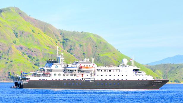 Ein Kreuzfahrtschiff fährt vor einer hügeligen Landschaft auf dem Wasser.