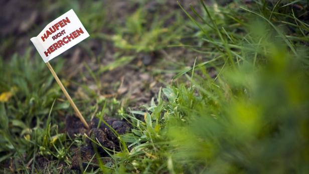 Ein kleiner, weißer Fähnchen mit der Aufschrift „Haufen sucht Herrchen“ steckt in einem Erdhaufen im Gras.