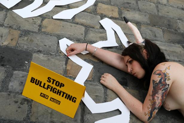 Stierhatz in Pamplona: Aktivisten protestierten mit nackter Haut