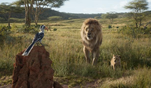 Der neue "König der Löwen": Echten Katzen fehlt der Witz