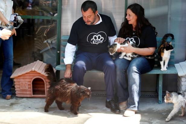 Salvini und Berlusconi inszenieren sich als Tierliebhaber