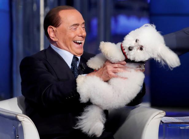 Salvini und Berlusconi inszenieren sich als Tierliebhaber