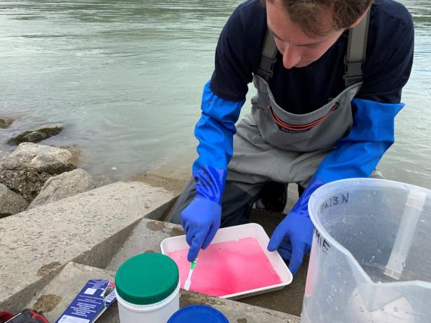 Wie viel Mikroplastik ist in der Donau?