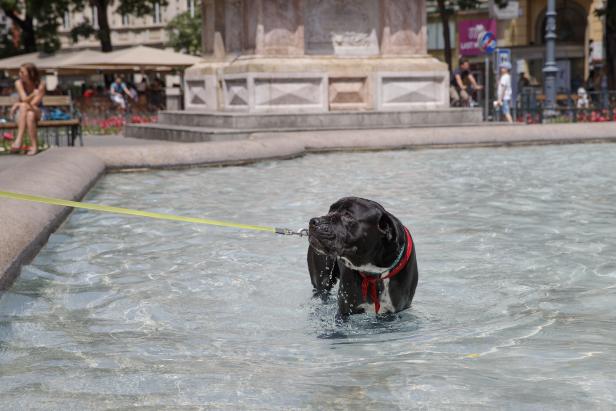 ++ THEMENBILD ++ HITZE / SOMMER / WETTER