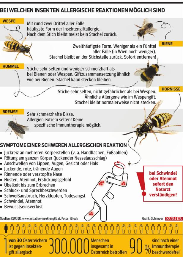 Insektengift-Allergie: Wann es wirklich bedrohlich wird