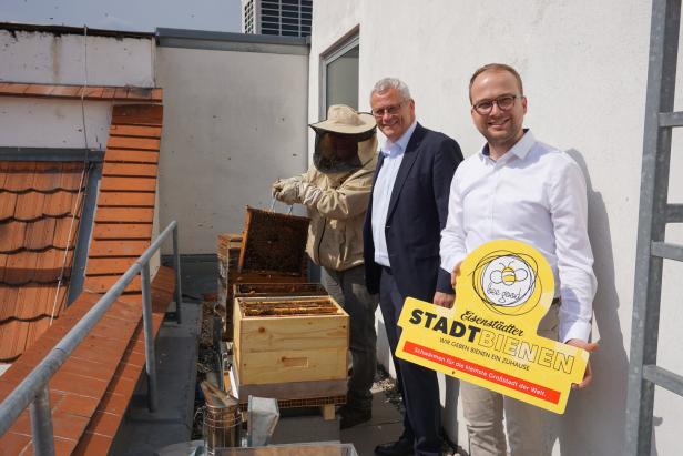 Imker-Boom nach Bienensterben: „Viele Leuten wollten sie retten“