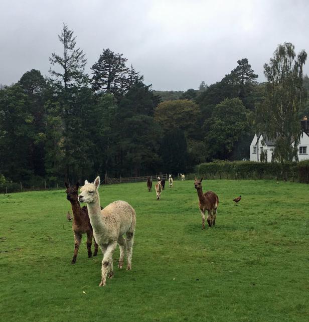 Sogar bei Regen: Warum der Lake District bei jedem Wetter überzeugt