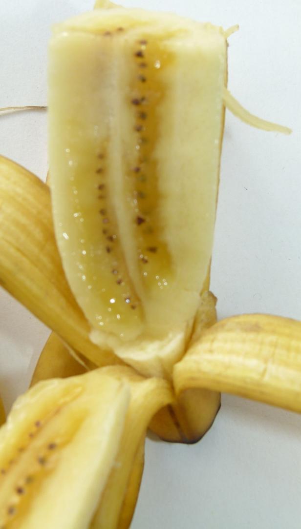 Gesucht: Die Banane von morgen