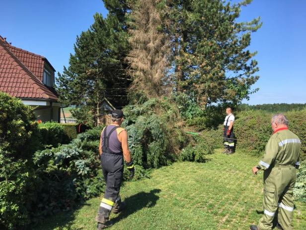 Unwetter im Südburgenland: 13 Feuerwehren im Einsatz