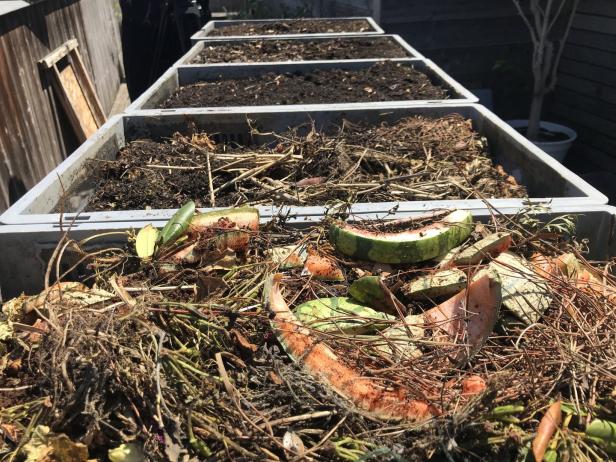 Axels Terrasseneintopf: Wie Würmer wertvollen Kompost produzieren