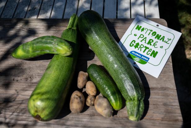 Wie ein harter Rocker seinen Naturgarten sanft betreut