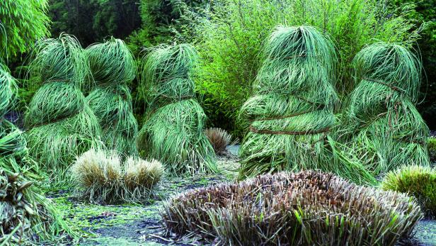 Ziergräser für jeden Garten