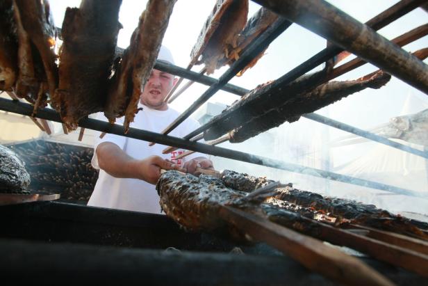 Biofisch Heuriger poppt im August in der Lobau auf