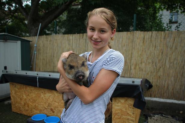 Minischweine Lillyfee und Charlie können bei ihrer Familie bleiben