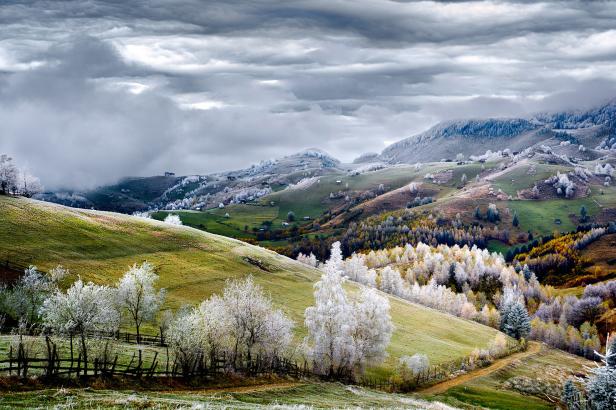 Eine hügelige Landschaft mit frostbedeckten Bäumen unter einem bewölkten Himmel.