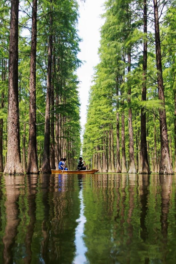 Wald unter Wasser: Hype um Chinas "See der Stille"
