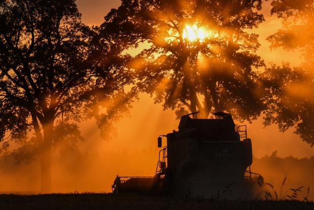 Bauern reagieren auf Klimawandel: So läuft die Getreideernte