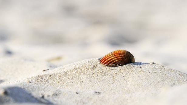 Mit Urlaubsstimmung in den Büroalltag