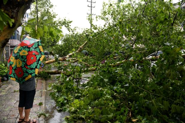 Man holding an umbrella stands near a fallen tree after super typhoon Lekima made landfall in Wenling, Zhejiang