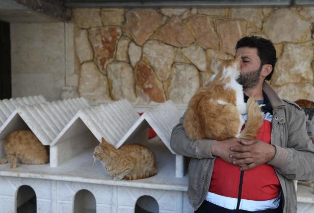 Der "Katzenmann von Aleppo" rettet Streuner in Syrien