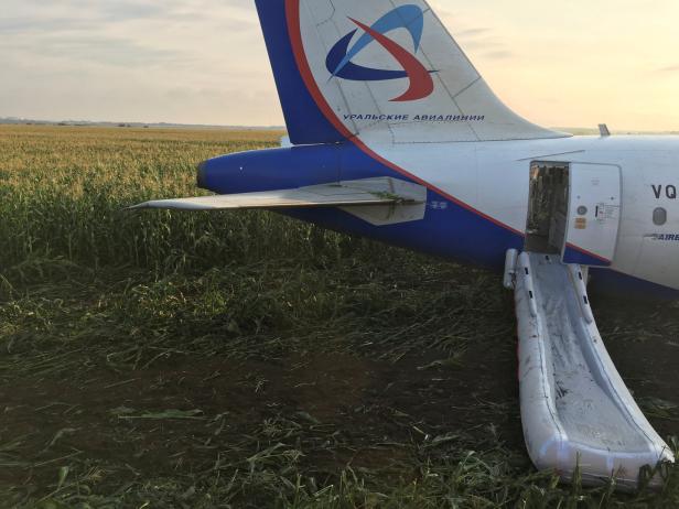 Flugzeug musste wegen Vogelschwarm notlanden - 23 Verletzte