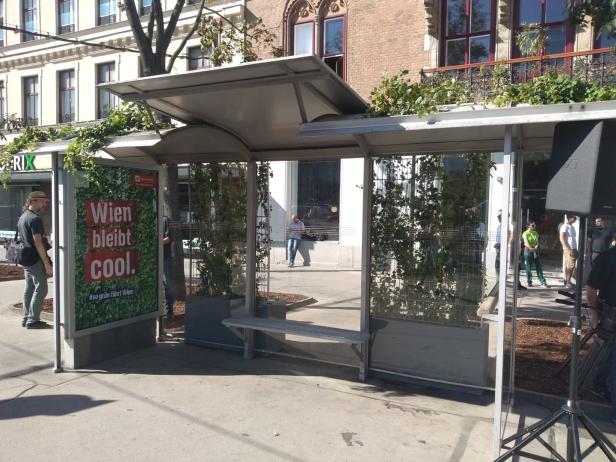 Gegen Hitze: Stadt Wien begrünt Öffi-Wartehäuschen