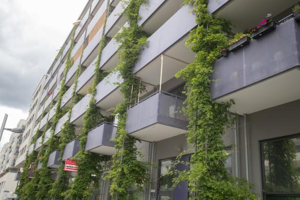 Viel Grün, mehr Beton: So effektiv sind die Maßnahmen der Stadt