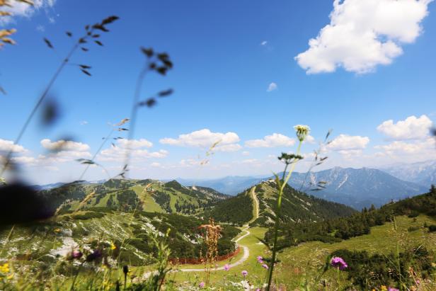 Bad Gastein: Wo Sommerfrischler Kunst in den Bergen lieben. Die besten Tipps rund ums Wochenende