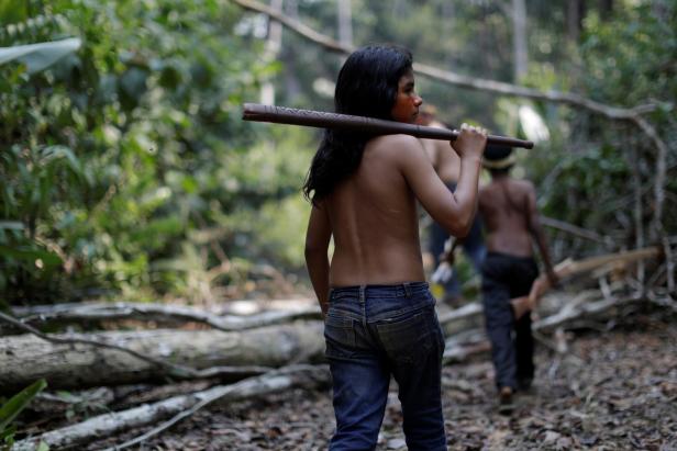 Amazonas-Regenwald: Die Klimaanlage der Welt gerät ins Stocken