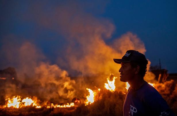 Amazonas-Regenwald brennt: Hunderte neue Feuer ausgebrochen
