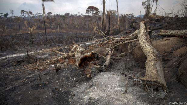 In Brasilien wüten die schwersten Waldbrände seit Jahren
