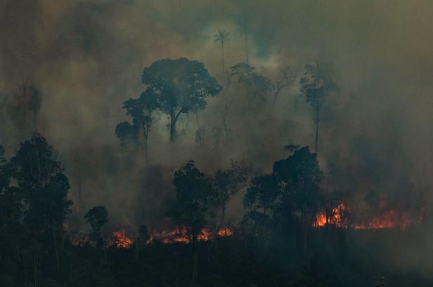 Amazonas-Brände: Feuer laut Militär nicht außer Kontrolle