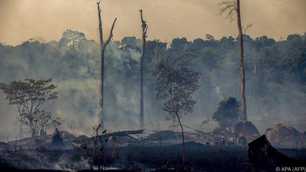 In Brasilien wüten die schwersten Waldbrände seit Jahren