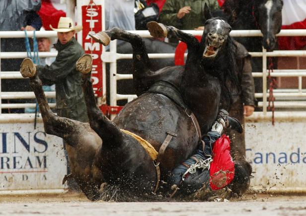 Ein Cowboy wird von einem aufgebäumten Pferd im Schlamm abgeworfen.