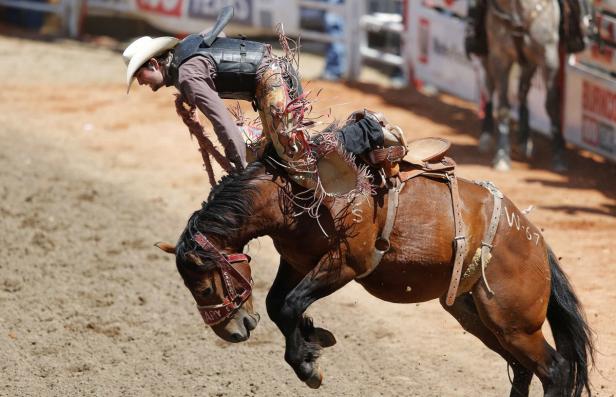 Ein Cowboy reitet auf einem bockenden Pferd während eines Rodeos.